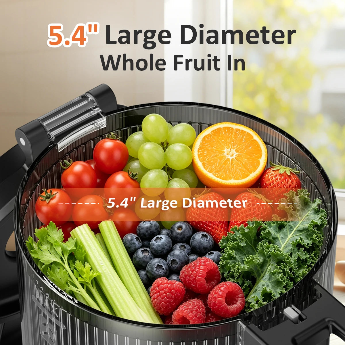 Cold Press Slow Masticating Juicer for Whole Fruits and Vegetables