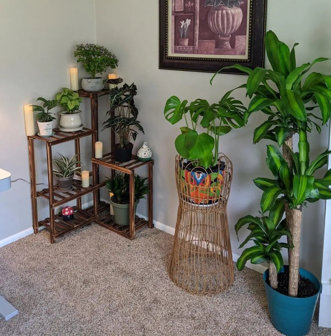 Wisfor 6 Tier Wood Plant Stand Corner Ladder Display Rack