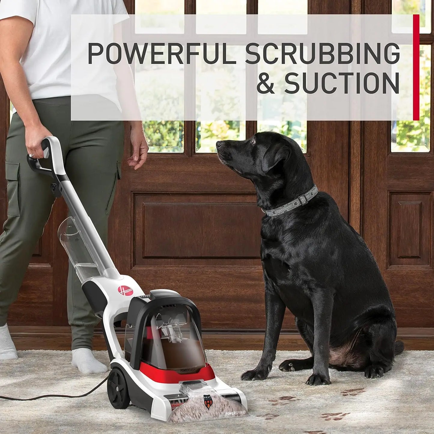 XMSJ PowerPet Plus Compact Carpet Cleaner Shampooer For Home Use