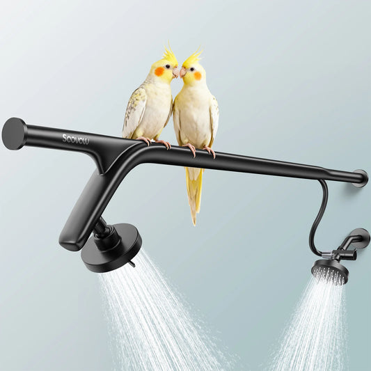 Dual Shower Head System For Couples Stainless Steel Shower Head