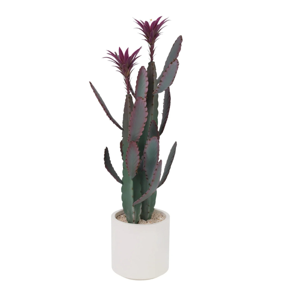 HiMISS Artificial Cactus Potted Plant Faux Desert Home Decor
