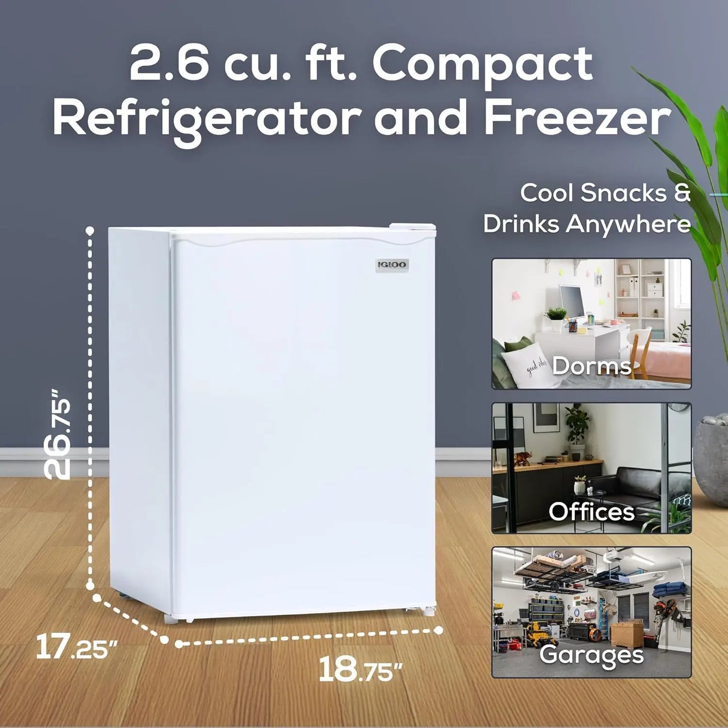 XMSJ Compact Mini Fridge With Freezer Single Door Glass Shelves